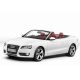 اجاره Audi A5 در کیش